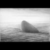 Inscape Numen IV