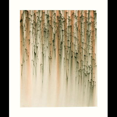After China: Cascade II, 31x26