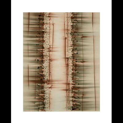 Fissure I, 39x32