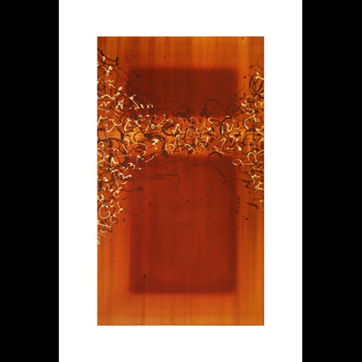 Indwelling I, 60x40