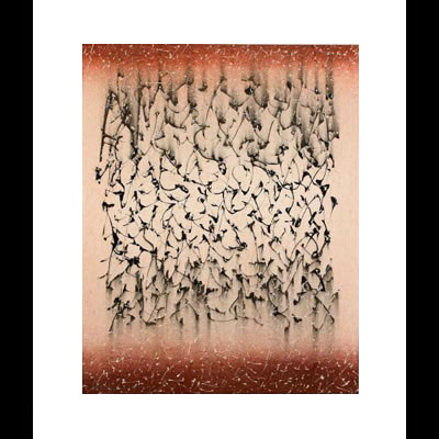 Veil, 19x16